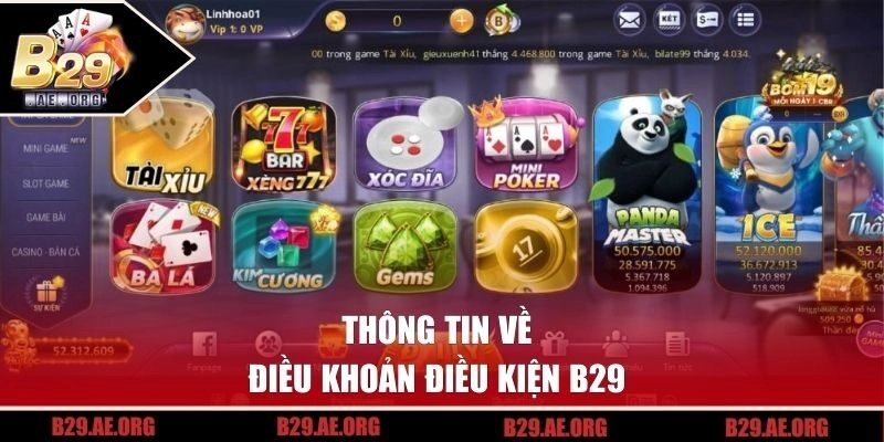 Thông tin về điều khoản điều kiện B29